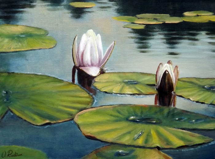 Water Lilies **SOLD**
